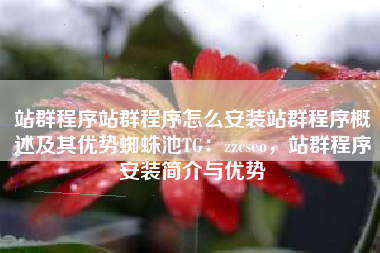 站群程序站群程序怎么安装站群程序概述及其优势蜘蛛池TG：zzcseo，站群程序安装简介与优势