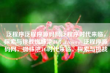 泛程序泛程序源码网泛程序时代来临，探索与挑战蜘蛛池TG：zzcseo，泛程序源码网，蜘蛛池TG时代来临，探索与挑战