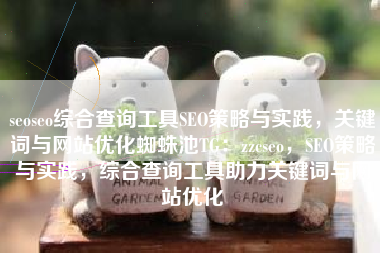 seoseo综合查询工具SEO策略与实践，关键词与网站优化蜘蛛池TG：zzcseo，SEO策略与实践，综合查询工具助力关键词与网站优化