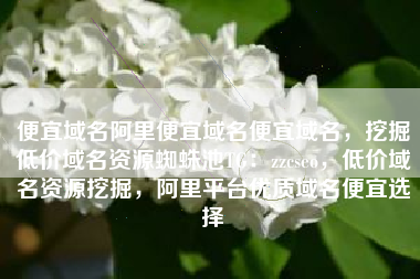 便宜域名阿里便宜域名便宜域名，挖掘低价域名资源蜘蛛池TG：zzcseo，低价域名资源挖掘，阿里平台优质域名便宜选择