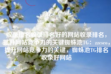 收录排名收录排名好的网站收录排名，提升网站竞争力的关键蜘蛛池TG：zzcseo，提升网站竞争力的关键，蜘蛛池TG排名收录好网站