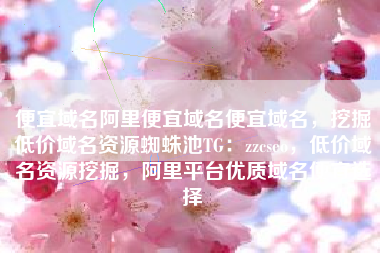 便宜域名阿里便宜域名便宜域名，挖掘低价域名资源蜘蛛池TG：zzcseo，低价域名资源挖掘，阿里平台优质域名便宜选择