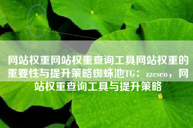 网站权重网站权重查询工具网站权重的重要性与提升策略蜘蛛池TG：zzcseo，网站权重查询工具与提升策略