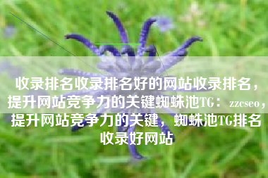收录排名收录排名好的网站收录排名，提升网站竞争力的关键蜘蛛池TG：zzcseo，提升网站竞争力的关键，蜘蛛池TG排名收录好网站