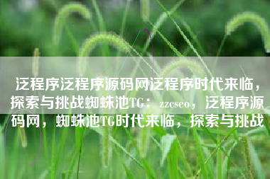 泛程序泛程序源码网泛程序时代来临，探索与挑战蜘蛛池TG：zzcseo，泛程序源码网，蜘蛛池TG时代来临，探索与挑战