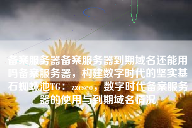 备案服务器备案服务器到期域名还能用吗备案服务器，构建数字时代的坚实基石蜘蛛池TG：zzcseo，数字时代备案服务器的使用与到期域名情况