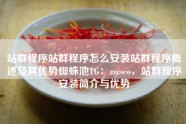 站群程序站群程序怎么安装站群程序概述及其优势蜘蛛池TG：zzcseo，站群程序安装简介与优势