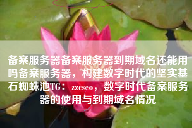 备案服务器备案服务器到期域名还能用吗备案服务器，构建数字时代的坚实基石蜘蛛池TG：zzcseo，数字时代备案服务器的使用与到期域名情况