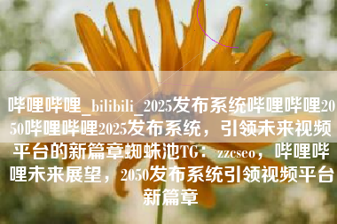 哔哩哔哩_bilibili_2025发布系统哔哩哔哩2050哔哩哔哩2025发布系统，引领未来视频平台的新篇章蜘蛛池TG：zzcseo，哔哩哔哩未来展望，2050发布系统引领视频平台新篇章
