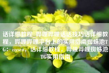 话详细教程_哔哩哔哩话话技巧话详细教程，哔哩哔哩平台上的实用指南蜘蛛池TG：zzcseo，话详细教程，哔哩哔哩蜘蛛池TG实用指南
