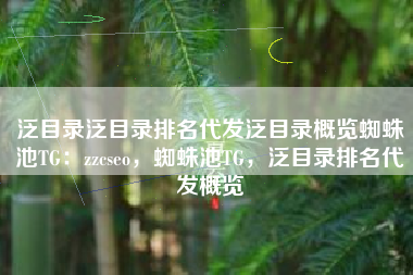 泛目录泛目录排名代发泛目录概览蜘蛛池TG：zzcseo，蜘蛛池TG，泛目录排名代发概览