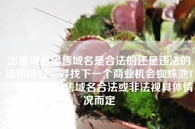 出售域名出售域名是合法的还是违法的出售域名，寻找下一个商业机会蜘蛛池TG：zzcseo，出售域名合法或非法视具体情况而定