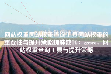 网站权重网站权重查询工具网站权重的重要性与提升策略蜘蛛池TG：zzcseo，网站权重查询工具与提升策略