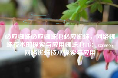 必应蜘蛛必应蜘蛛池必应蜘蛛，网络蜘蛛技术的探索与应用蜘蛛池TG：zzcseo，网络蜘蛛技术探索与应用