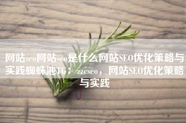 网站seo网站seo是什么网站SEO优化策略与实践蜘蛛池TG：zzcseo，网站SEO优化策略与实践