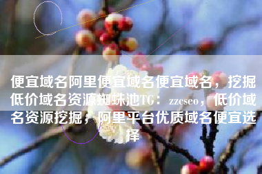 便宜域名阿里便宜域名便宜域名，挖掘低价域名资源蜘蛛池TG：zzcseo，低价域名资源挖掘，阿里平台优质域名便宜选择
