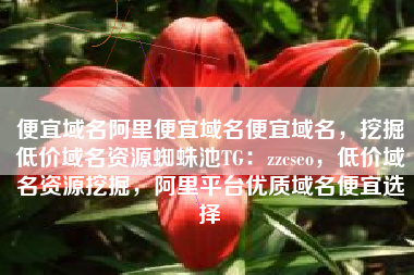 便宜域名阿里便宜域名便宜域名，挖掘低价域名资源蜘蛛池TG：zzcseo，低价域名资源挖掘，阿里平台优质域名便宜选择