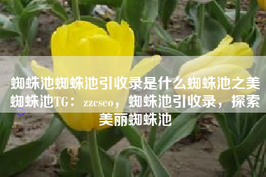 蜘蛛池蜘蛛池引收录是什么蜘蛛池之美蜘蛛池TG：zzcseo，蜘蛛池引收录，探索美丽蜘蛛池