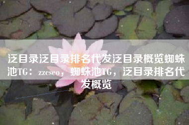 泛目录泛目录排名代发泛目录概览蜘蛛池TG：zzcseo，蜘蛛池TG，泛目录排名代发概览