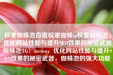 权重蜘蛛池百度权重蜘蛛ip权重蜘蛛池，优化网站性能与提升SEO效果的秘密武器蜘蛛池TG：zzcseo，优化网站性能与提升SEO效果的秘密武器，蜘蛛池的强大功能