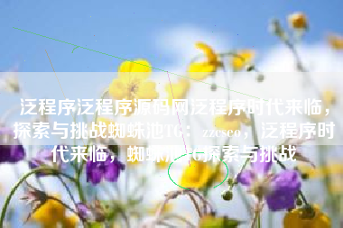 泛程序泛程序源码网泛程序时代来临，探索与挑战蜘蛛池TG：zzcseo，泛程序时代来临，蜘蛛池TG探索与挑战