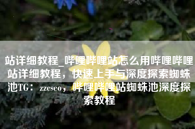 站详细教程_哔哩哔哩站怎么用哔哩哔哩站详细教程，快速上手与深度探索蜘蛛池TG：zzcseo，哔哩哔哩站蜘蛛池深度探索教程