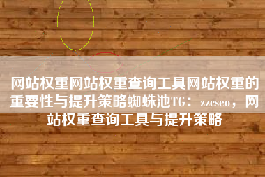 网站权重网站权重查询工具网站权重的重要性与提升策略蜘蛛池TG：zzcseo，网站权重查询工具与提升策略
