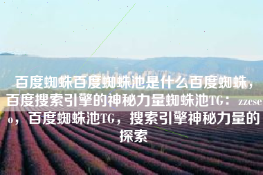 百度蜘蛛百度蜘蛛池是什么百度蜘蛛，百度搜索引擎的神秘力量蜘蛛池TG：zzcseo，百度蜘蛛池TG，搜索引擎神秘力量的探索