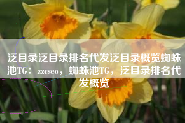 泛目录泛目录排名代发泛目录概览蜘蛛池TG：zzcseo，蜘蛛池TG，泛目录排名代发概览