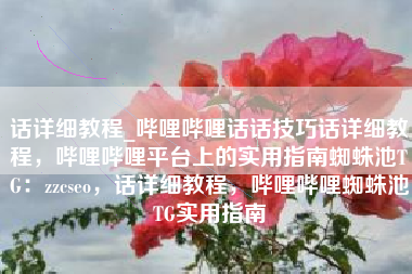 话详细教程_哔哩哔哩话话技巧话详细教程，哔哩哔哩平台上的实用指南蜘蛛池TG：zzcseo，话详细教程，哔哩哔哩蜘蛛池TG实用指南