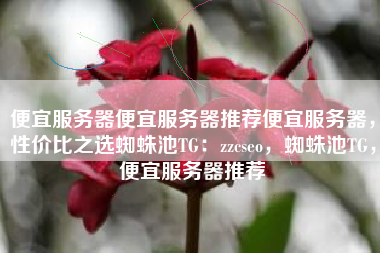 便宜服务器便宜服务器推荐便宜服务器，性价比之选蜘蛛池TG：zzcseo，蜘蛛池TG，便宜服务器推荐