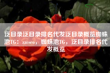 泛目录泛目录排名代发泛目录概览蜘蛛池TG：zzcseo，蜘蛛池TG，泛目录排名代发概览