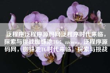 泛程序泛程序源码网泛程序时代来临，探索与挑战蜘蛛池TG：zzcseo，泛程序源码网，蜘蛛池TG时代来临，探索与挑战