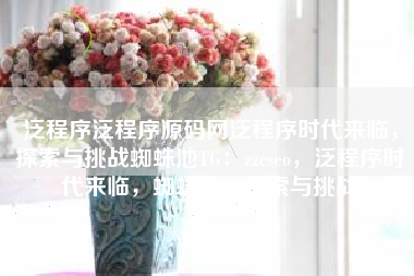 泛程序泛程序源码网泛程序时代来临，探索与挑战蜘蛛池TG：zzcseo，泛程序时代来临，蜘蛛池TG探索与挑战