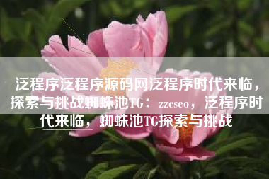 泛程序泛程序源码网泛程序时代来临，探索与挑战蜘蛛池TG：zzcseo，泛程序时代来临，蜘蛛池TG探索与挑战