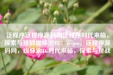 泛程序泛程序源码网泛程序时代来临，探索与挑战蜘蛛池TG：zzcseo，泛程序源码网，蜘蛛池TG时代来临，探索与挑战