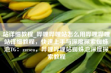 站详细教程_哔哩哔哩站怎么用哔哩哔哩站详细教程，快速上手与深度探索蜘蛛池TG：zzcseo，哔哩哔哩站蜘蛛池深度探索教程