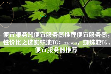 便宜服务器便宜服务器推荐便宜服务器，性价比之选蜘蛛池TG：zzcseo，蜘蛛池TG，便宜服务器推荐