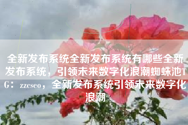 全新发布系统全新发布系统有哪些全新发布系统，引领未来数字化浪潮蜘蛛池TG：zzcseo，全新发布系统引领未来数字化浪潮