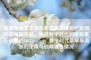 备案服务器备案服务器到期域名还能用吗备案服务器，构建数字时代的坚实基石蜘蛛池TG：zzcseo，数字时代备案服务器的使用与到期域名情况