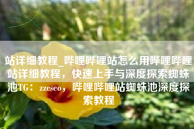 站详细教程_哔哩哔哩站怎么用哔哩哔哩站详细教程，快速上手与深度探索蜘蛛池TG：zzcseo，哔哩哔哩站蜘蛛池深度探索教程