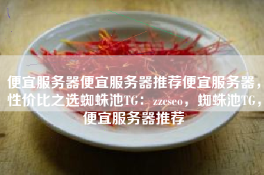 便宜服务器便宜服务器推荐便宜服务器，性价比之选蜘蛛池TG：zzcseo，蜘蛛池TG，便宜服务器推荐