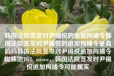 韩国法院签发对尹锡悦的追加拘捕令韩国法院签发对尹锡悦的追加拘捕令是真的吗韩国法院签发对尹锡悦追加拘捕令蜘蛛池TG：zzcseo，韩国法院签发对尹锡悦追加拘捕令可能属实