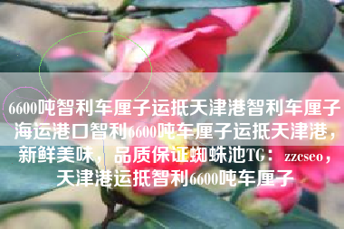 6600吨智利车厘子运抵天津港智利车厘子海运港口智利6600吨车厘子运抵天津港，新鲜美味，品质保证蜘蛛池TG：zzcseo，天津港运抵智利6600吨车厘子