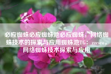 必应蜘蛛必应蜘蛛池必应蜘蛛，网络蜘蛛技术的探索与应用蜘蛛池TG：zzcseo，网络蜘蛛技术探索与应用