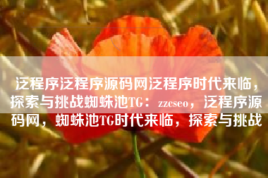 泛程序泛程序源码网泛程序时代来临，探索与挑战蜘蛛池TG：zzcseo，泛程序源码网，蜘蛛池TG时代来临，探索与挑战