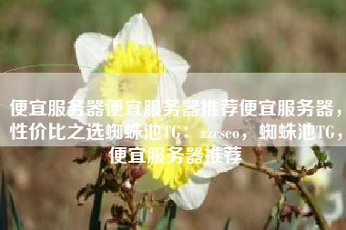 便宜服务器便宜服务器推荐便宜服务器，性价比之选蜘蛛池TG：zzcseo，蜘蛛池TG，便宜服务器推荐