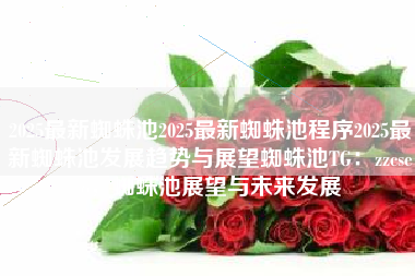 2025最新蜘蛛池2025最新蜘蛛池程序2025最新蜘蛛池发展趋势与展望蜘蛛池TG：zzcseo，蜘蛛池展望与未来发展