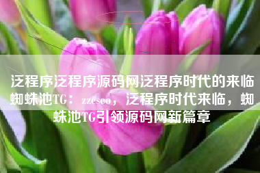 泛程序泛程序源码网泛程序时代的来临蜘蛛池TG：zzcseo，泛程序时代来临，蜘蛛池TG引领源码网新篇章