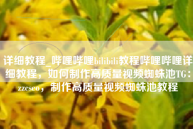 详细教程_哔哩哔哩bilibili教程哔哩哔哩详细教程，如何制作高质量视频蜘蛛池TG：zzcseo，制作高质量视频蜘蛛池教程